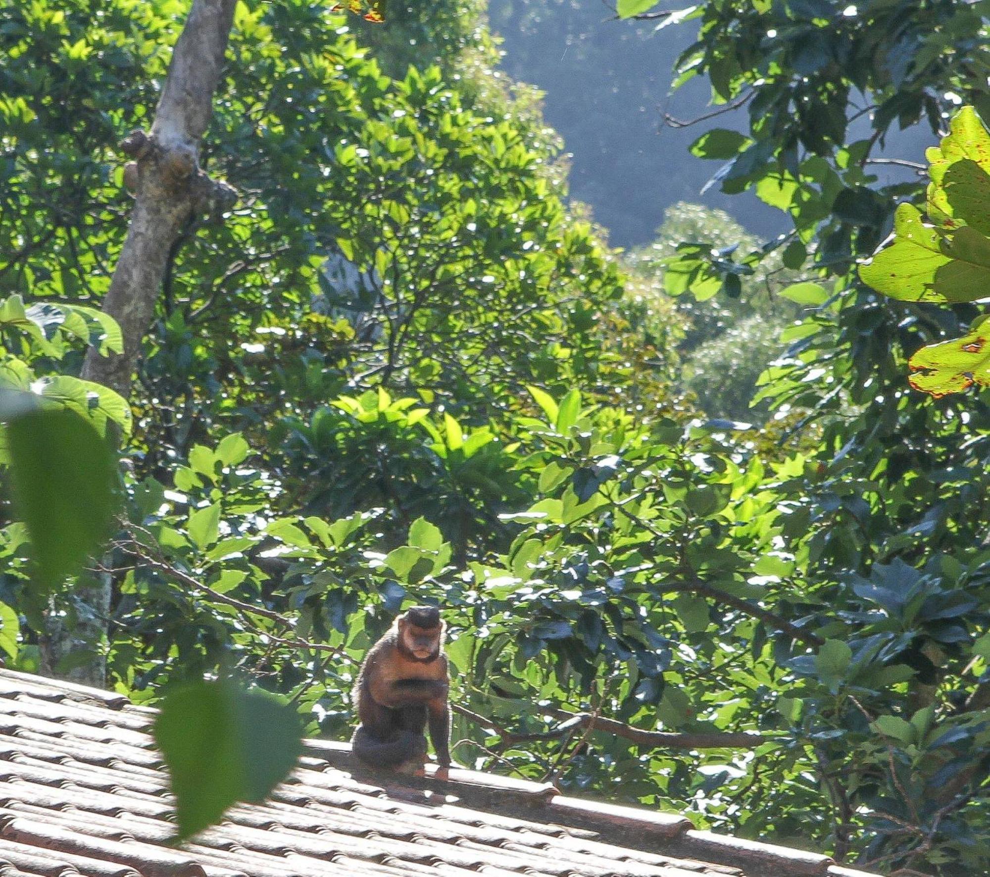 Affittacamere Les Jardins De Rio Boutique